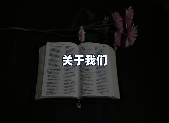 关于我们